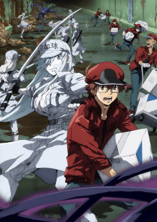 انمي Hataraku Saibou Black (TV) الحلقة 13 والاخيرة مترجمة