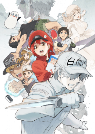 انمي Hataraku Saibou!! الحلقة 8 والاخيرة مترجمة